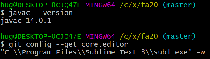 Text Editor check